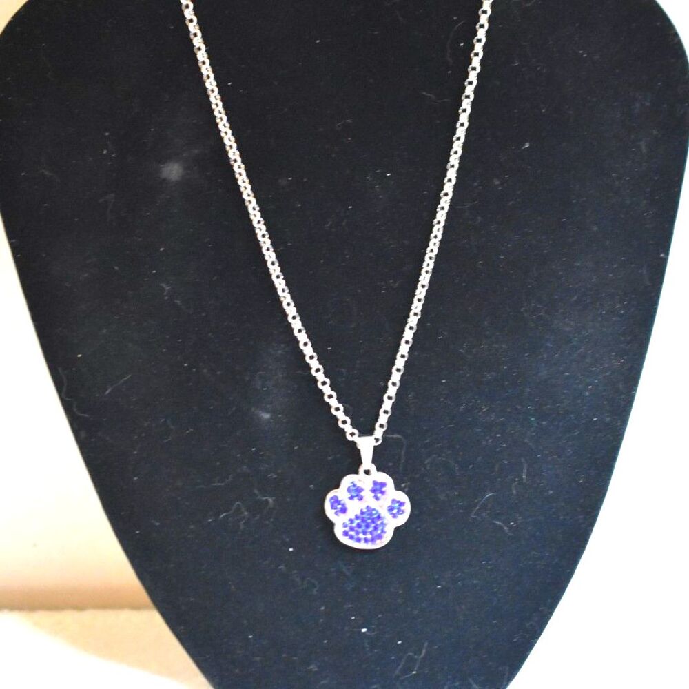 Puppy Power Blue Crushed Glass Crystals Paw Print Silver Tone Chain Necklace